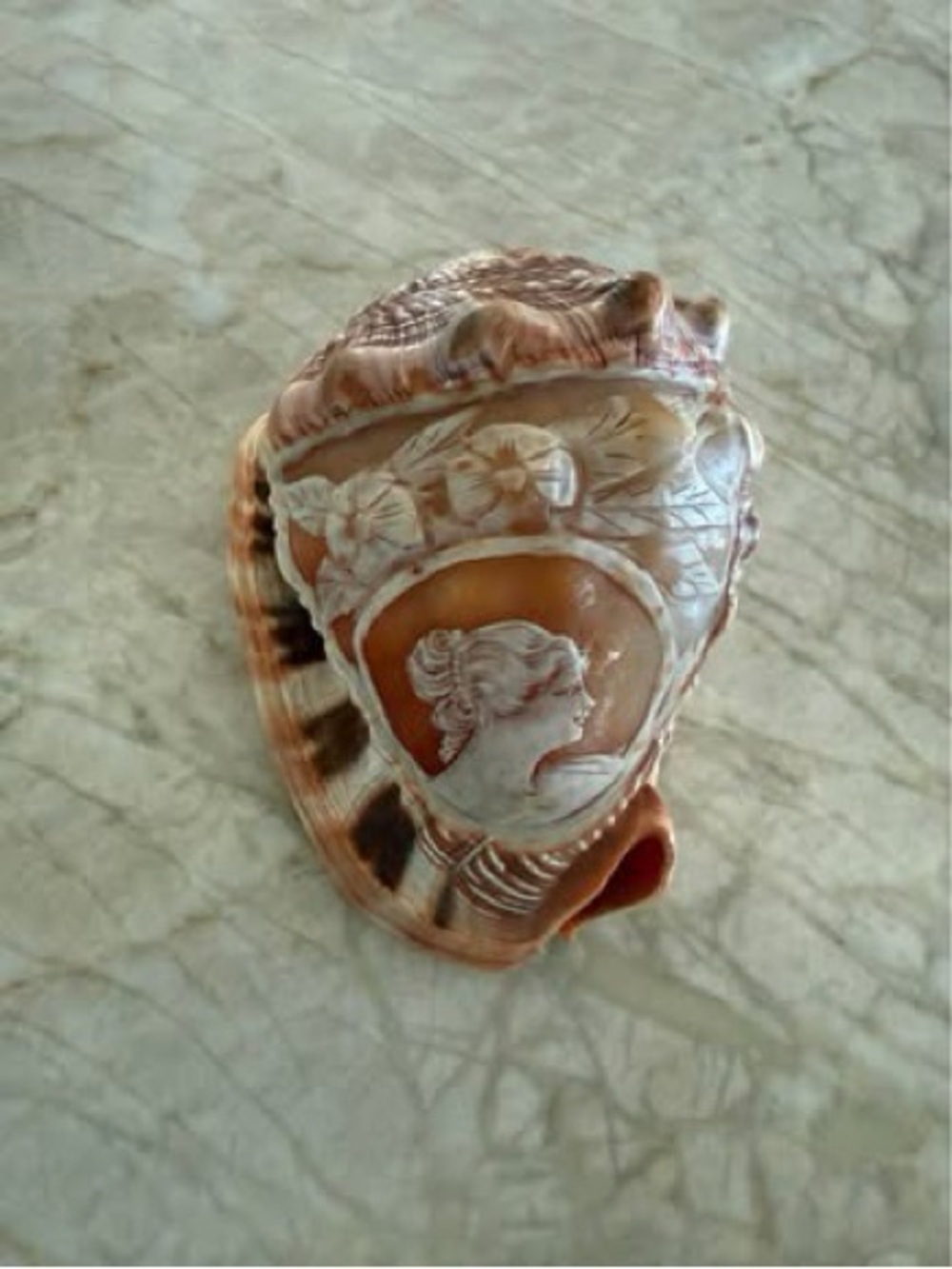 Gorgeous 5” Vintage Hand Carved Cameo on Conch Seashell